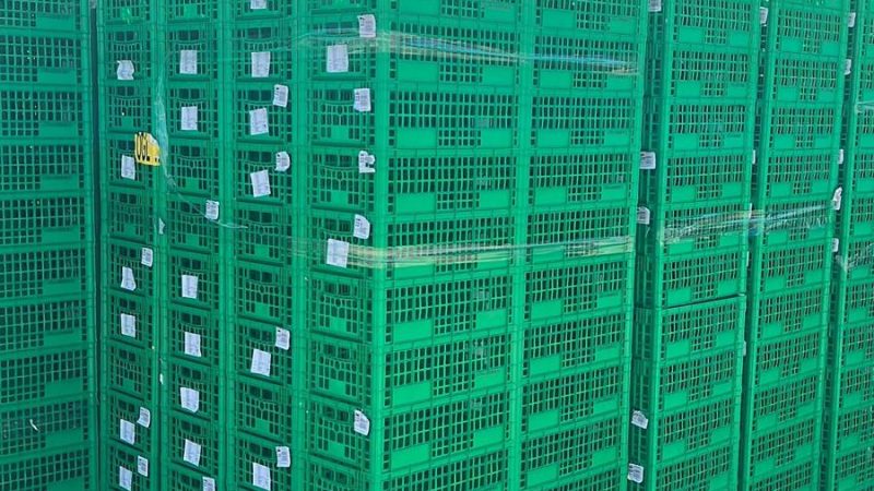 Origen caja